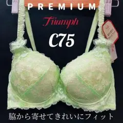 C75 トリンプ プレミアム レッドレーベル0084 ブラジャー #2のサムネイル