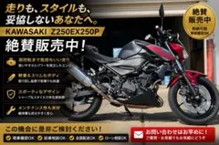KAWASAKI EPSILON 250（カワサキ エプシロン 250） - メルカリ