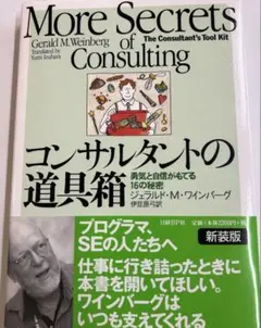 More Secrets of Consulting 新装版