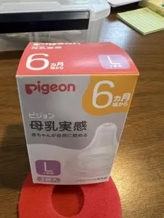 ピジョン母乳実感 Lサイズ 1個