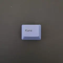 Item thumbnail for item c11c2eb2-bea7-4cc1-a7a0-f55b3caa5aee