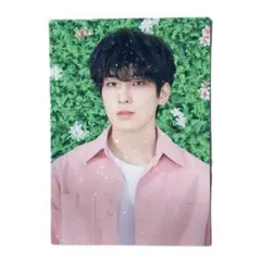 SEVENTEEN セブチ　HARU ハルコン　キラキラ　ウォヌ　トレカ　カード