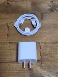 Apple純正 ACアダプタとCtoCケーブル(1m)