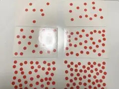 ドッツカードドーマン