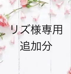 リズ様専用追加分です。