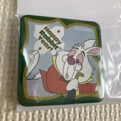 ディズニー ウサギキャラクター 缶バッジ