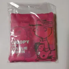 スヌーピーとチャーリー・ブラウン 　エコバッグ