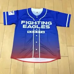 Item thumbnail for item 33481232-6d34-4fcf-8c16-0ac6118bb819