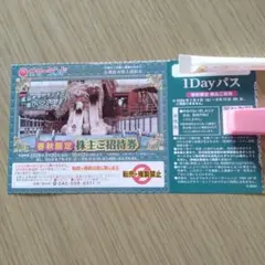 2枚セット東京サマーランド2026年春秋限定の1Dayパス株主ご招待券株式