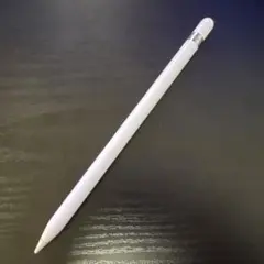 Apple Pencil ホワイト 充電ケーブル付