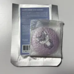 MINITEEN 缶バッジ ウォヌ FOXDUNGEE②