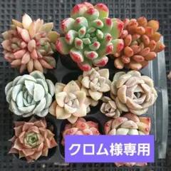 クロム様 リクエスト 2点 まとめ商品