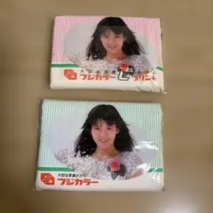 【非売品】南野陽子ポケットティッシュ　フジカラープリント 2個