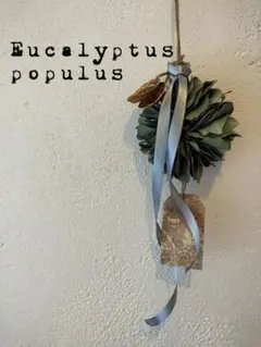 ひつじ様 リクエスト 2点 まとめ商品