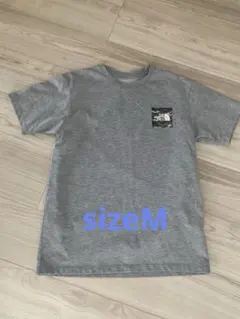 THE NORTH FACE ノースフェイスM迷彩ロゴ Tシャツ グレー