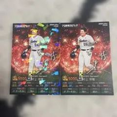 Item thumbnail for item 18e7c8a9-4b6a-45cd-9f14-6a48d4a2b2e5