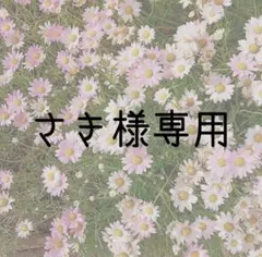 Item thumbnail for item e9080e97-8bde-475b-85a2-9c18a4e09ef0