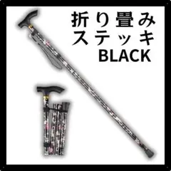 Item thumbnail for item 067bef6d-21be-4fe2-ad73-1b5df15aeb55