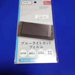 Nintendo Switch2 ブルーライトカットフィルム
