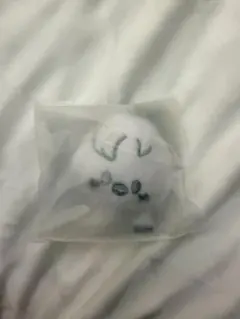 【BbokAri】SKZOO FACE KEYRING SILVER Ver.