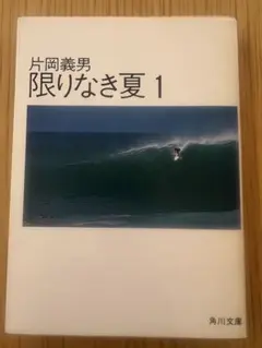 限りなき夏 1 片岡義男 角川文庫
