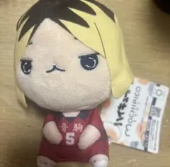 ハイキュー!! もちぴこぬいぐるみ　ミニサイズ　孤爪研磨