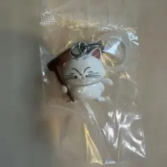 ドラゴンボール めじるしアクセサリー4 カリン様
