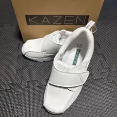 Item thumbnail for item 712aa916-41d9-4c52-a40d-01c52372a81e