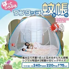 Item thumbnail for item 6ecf9e65-e0c4-4fde-b0f4-296d14516849