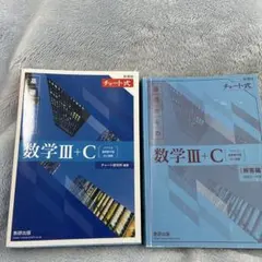 基礎からの数学Ⅲ+C 解答編 第2版