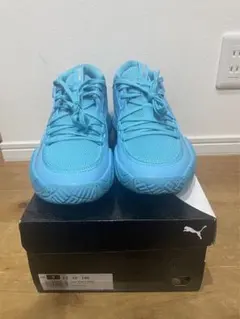 Item thumbnail for item 2aaefa8d-e1e6-4641-8bcd-2b7ea52dd88a