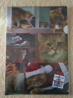 aoi※プロフィールあります様 リクエスト 2点 まとめ商品