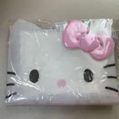 キティ　バインダー　（I Love Hello Kitty）