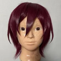 あんスタ 天城一彩 ウィッグ - メルカリ