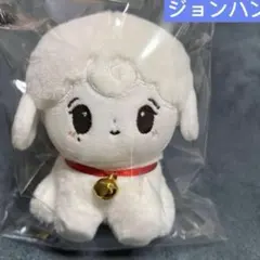2026年最新】seventeen ジョンハン ぬいぐるみ 10cmの人気アイテム