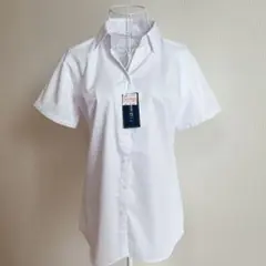 Item thumbnail for item 8ac24591-c1ec-4816-948d-3ef0be2f1627