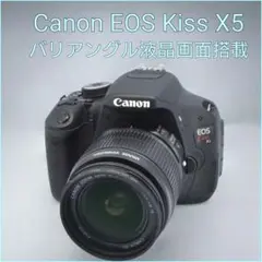 超望遠レンズデビュー✨Canon Kiss X50✨ダブルレンズ✨少シャッター