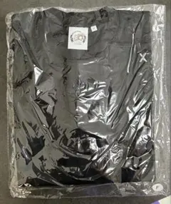 L'Arc〜en〜Ciel【FC限定】BIG旧ロゴTシャツ ラルク ブルー 青 - メルカリ