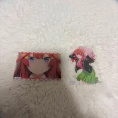 五等分の花嫁 五月カード