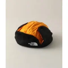 Item thumbnail for item 1e4d9ea9-5c1a-40f5-b0cb-2dc7604c5dea