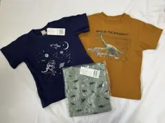 新品タグ付き⭐︎恐竜　Tシャツ　3点セット⭐︎110cm