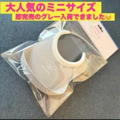 Item thumbnail for item 7926e461-1e3f-4325-9ade-ea3e12a5c3f6