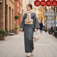 未使用近い　美品　着物単品　大島紬　正絹　幾何学文様　張りあるしなやか艶感