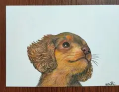 熊のプーさんBRlGHT様 リクエスト 2点 まとめ商品