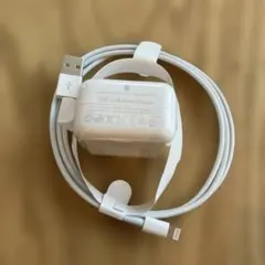 Apple USBアダプター＆Lightningケーブル