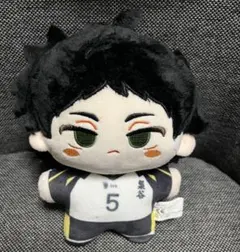 ハイキュー‼︎ 赤葦京治　ぬい　ドール