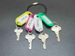 Item thumbnail for item e4ad8442-1b54-4772-ad51-ee8e14cd4c78