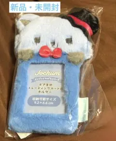 ジェオチャム　レイン　トレカケース　JOCHUM