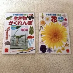 Item thumbnail for item 8d080898-b341-4ffe-94df-7439362f4b5f