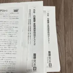 日能研 五年 夏期講習特別テスト1.2セット 2024年度実施 - メルカリ